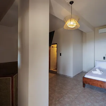 Aspalathos Guest